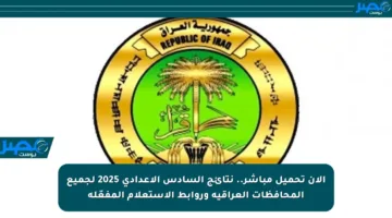 الآن تحميل مباشر.. نتائج السادس الإعدادي 2025 لجميع المحافظات العراقية وروابط الاستعلام المفعّلة